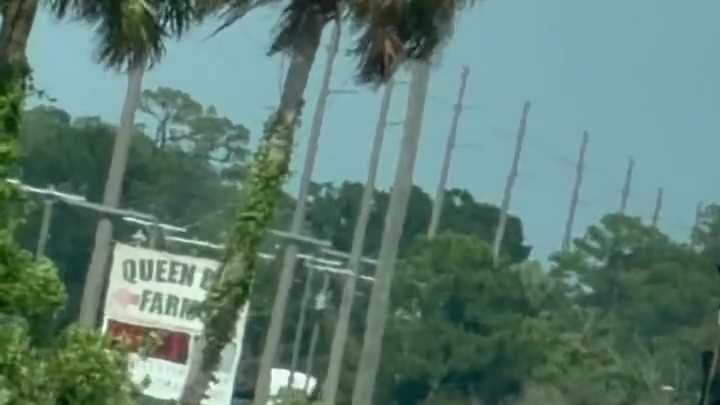 2 killed in crash near Highlands-Okeechobee county line