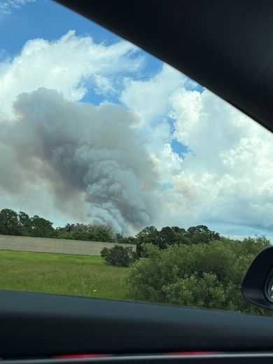 Florida Forest Service responds to 10-acre wildfire in Martin County The Florida Forest Service worked to suppress a 10-acre wildfire near Newfield Boulevard in Martin County on Sunday, with no evacuations or structures at risk.