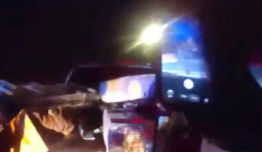 Florida police pull over truck with no headlights and discover a possum mom with babies in back