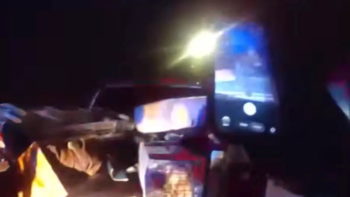 Florida police pull over truck with no headlights and discover a possum mom with babies in back