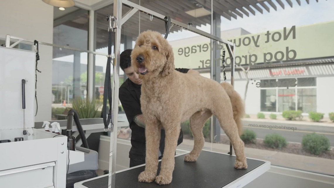 New dog grooming concept coming to Jacksonville
