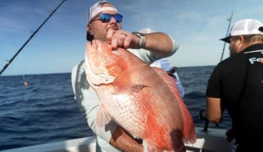 Fight over red snapper fishing off Florida tests Trump’s drive to deregulate the seas