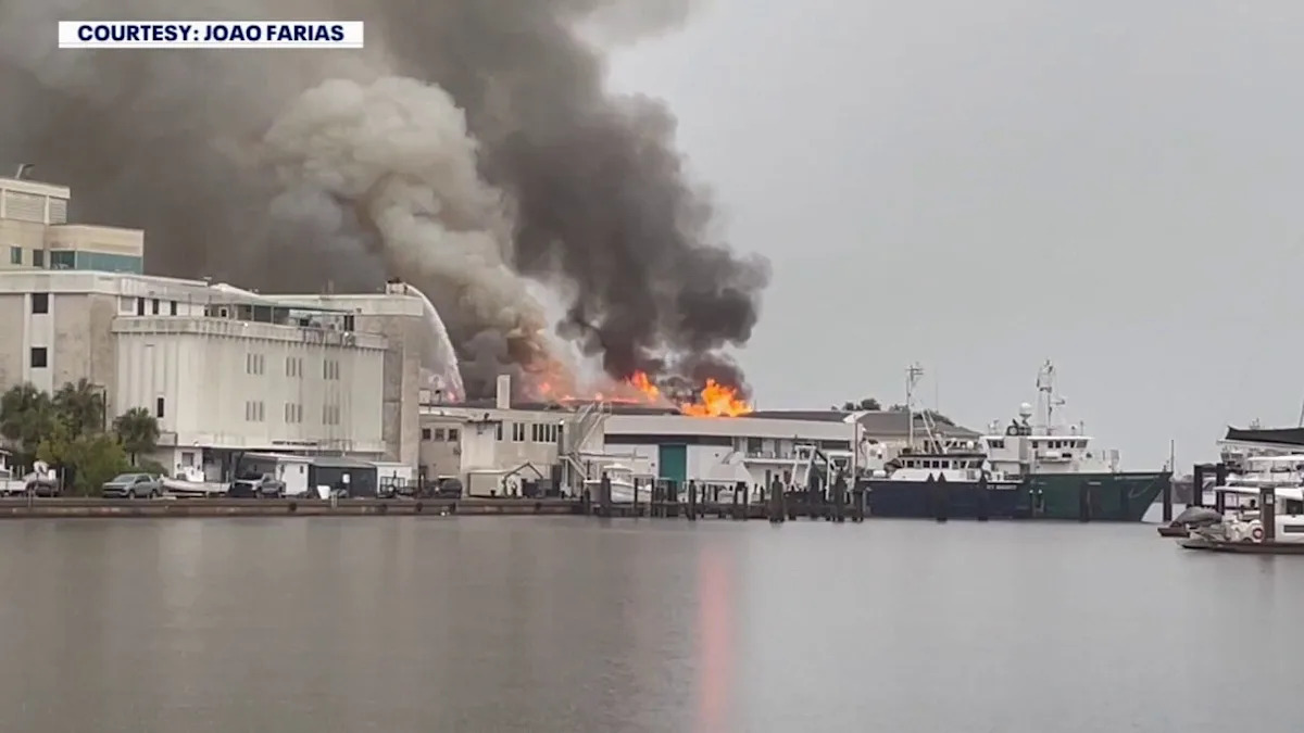 USF marine science research destroyed in St. Pete lab fire caused by lightning strike