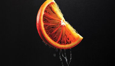 Featureimage Cyber Orangewedgergb