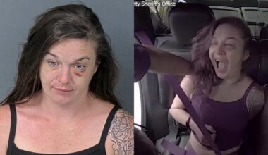 Florida woman wearing only underwear slapped by Hernando deputy after spitting in his face: HCSO