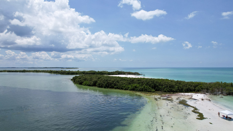 A view of Anclote Key, Florida