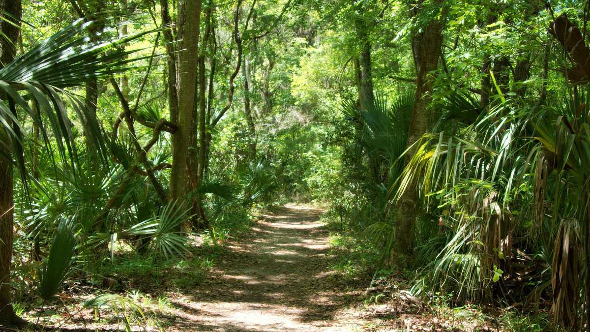 Florida state parks to waive admission fees for Independence Day weekend