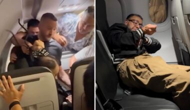 Frontier Airlines passenger tries to jump plane mid-flight: video