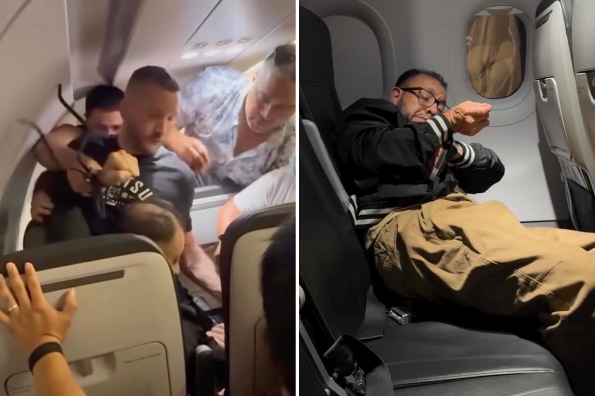 Frontier Airlines passenger tries to jump plane mid-flight: video
