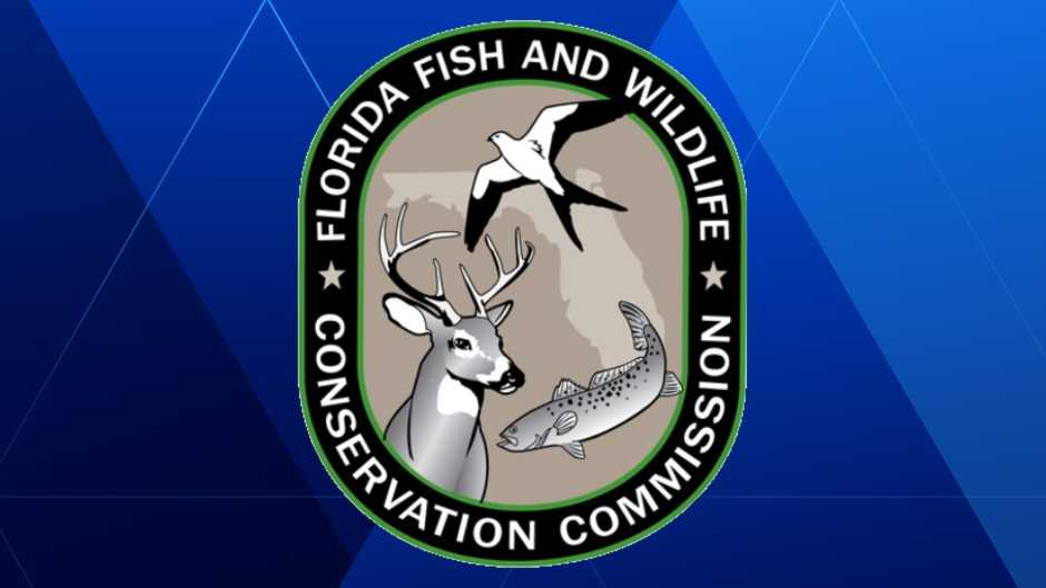 Florida officials investigate bird deaths in Cape Canaveral