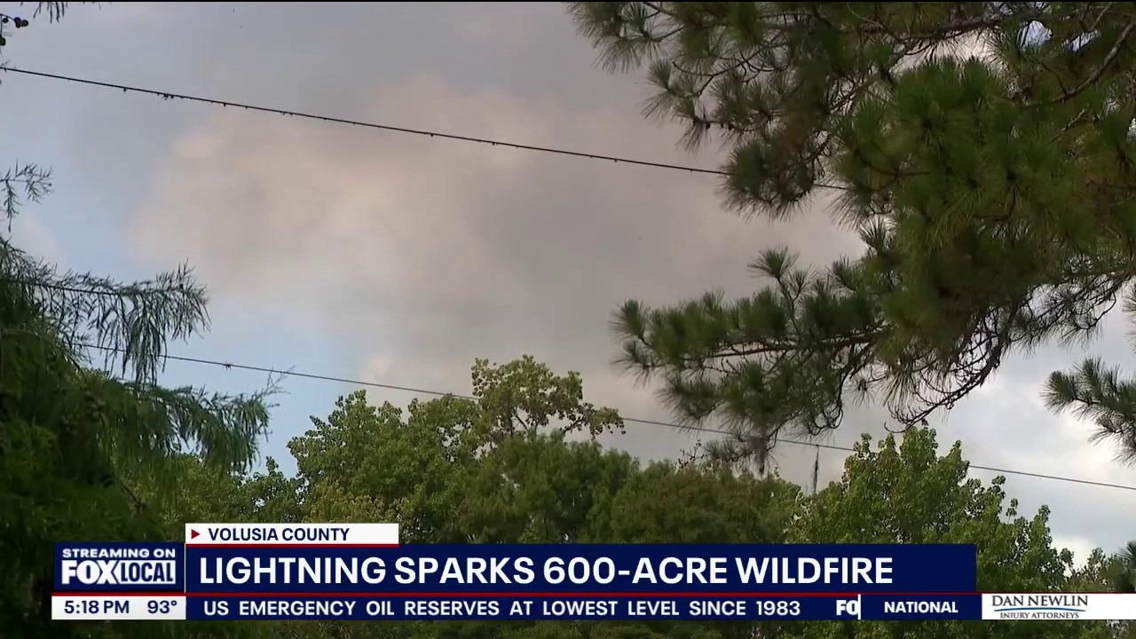 Lightning-sparked wildfire burns 600 acres in Volusia County