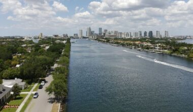 Heavy rain may be driving tire pollution into Florida waterways | FIU News