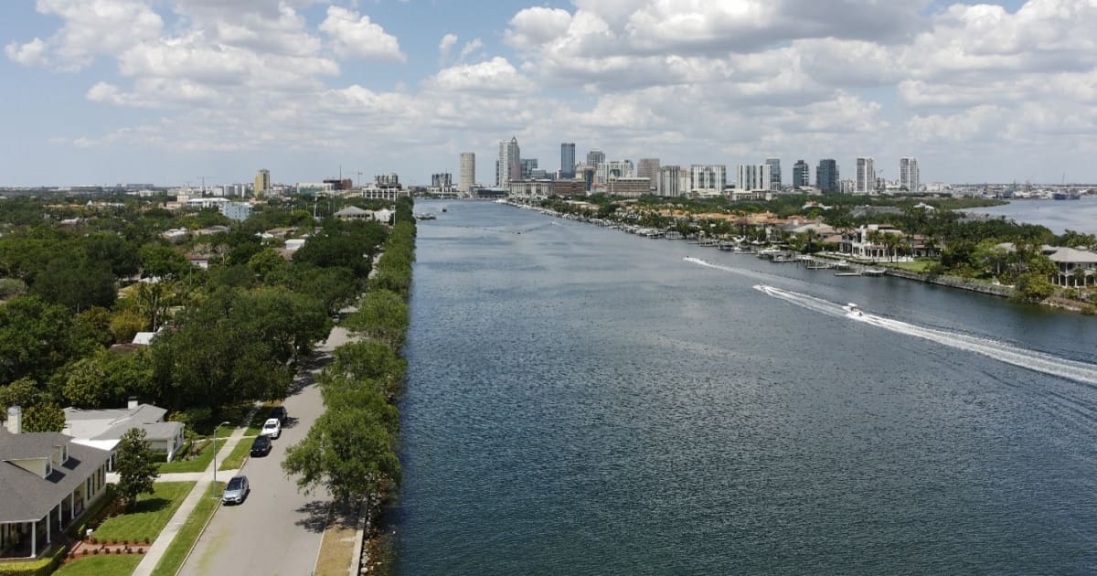 Heavy rain may be driving tire pollution into Florida waterways | FIU News