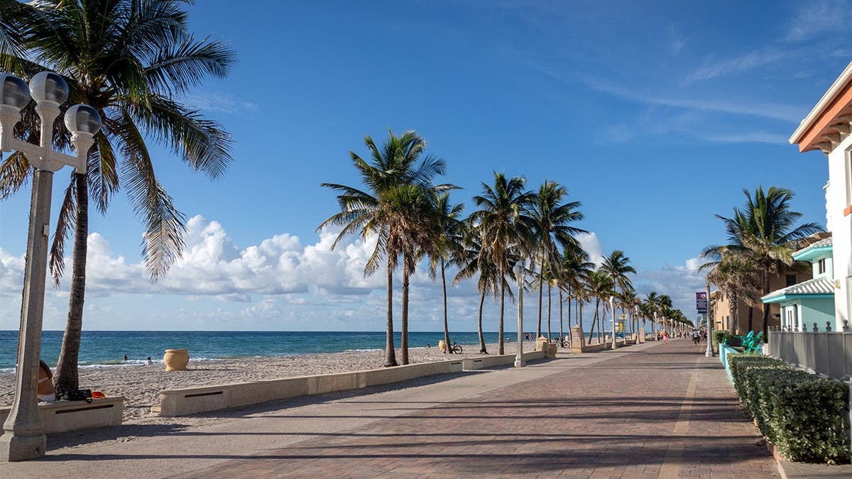 photo shows beach and promenade with palm trees