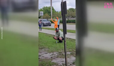 Florida Mom Creates Unforgettable School Pickup Surprise