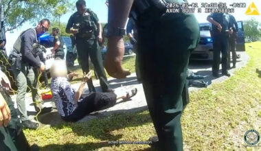WATCH: Deputies rescue elderly Florida driver after car plunges into canal