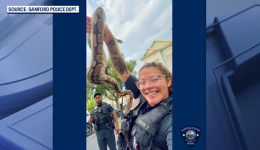 Police officers removes ball python from Florida apartment: 'Always ready to help'