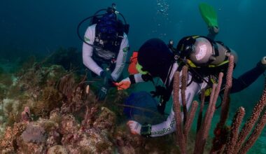 Publix removes 56,000 pounds of marine debris in Florida