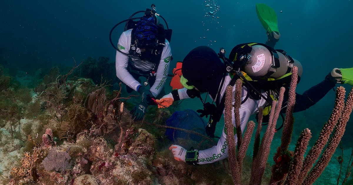 Publix removes 56,000 pounds of marine debris in Florida