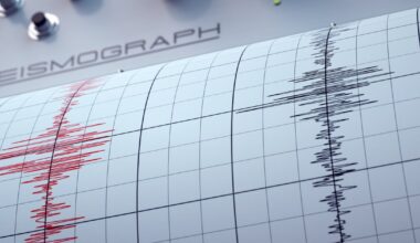 Gulf quake felt across Florida, largest since 1900