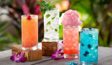Discovery Cove's Paradise Nights: A Summer Dining Event