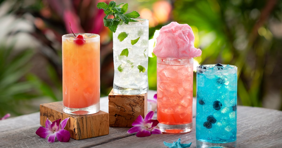 Discovery Cove's Paradise Nights: A Summer Dining Event
