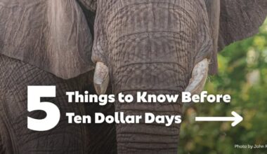 Jacksonville Zoo and Botanical Gardens offers summer tips for a cool visit – Action News Jax