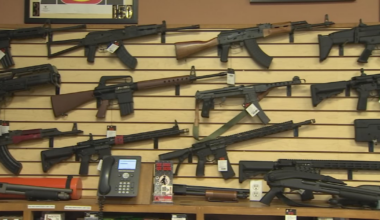 Florida's gun safety law faces potential repeal