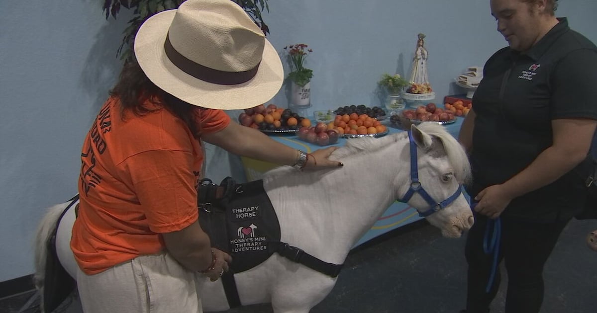 Mini-horse therapy brings joy to Orlando seniors