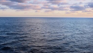Jacksonville creates new artificial reef offshore