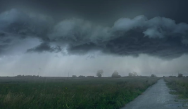Severe Thunderstorm Warning issued for parts of Central Florida