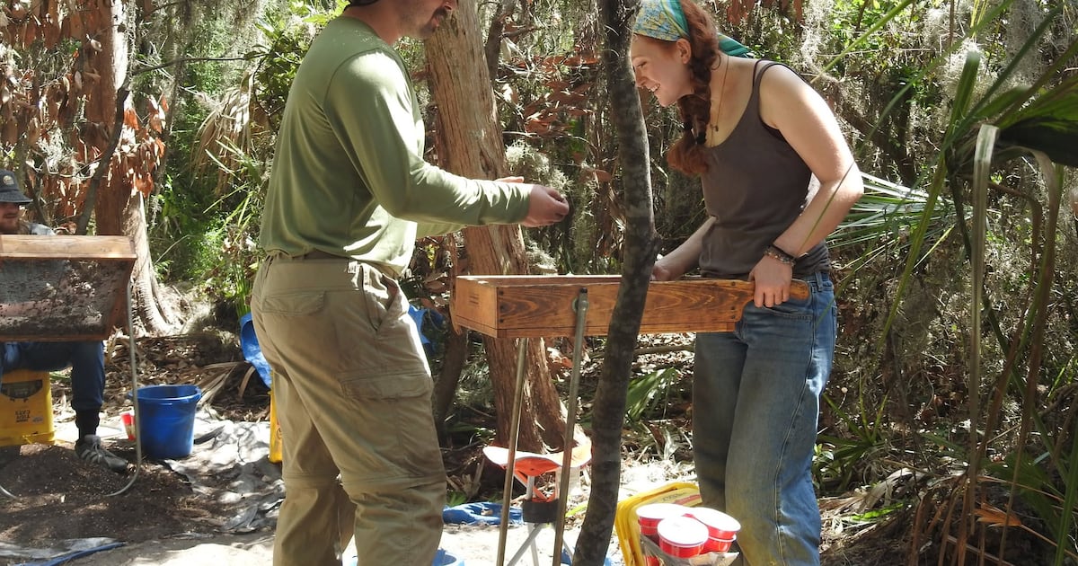 Ancient artifacts unearthed by UNF archaeology team in Jacksonville – Action News Jax