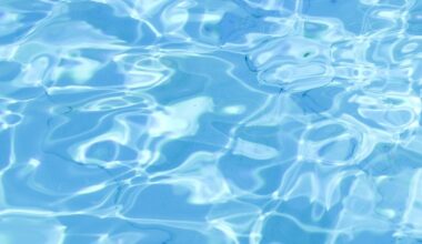 5-year-old Atlanta twins pronounced dead after being found unresponsive in Florida pool – WSB-TV Channel 2