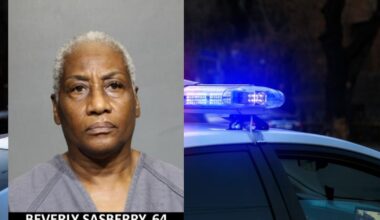 Woman accused of killing ducklings pleads not guilty, neighbor says she said ‘I’ll do it again’ – Action News Jax