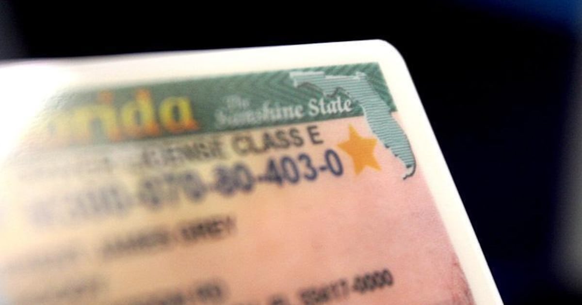 Florida driver's licenses to show citizenship status