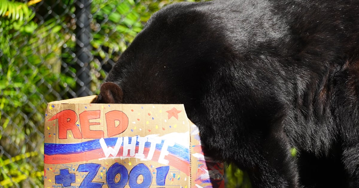 ZooTampa hosting monthlong Red, White and Zoo celebration – WFTV