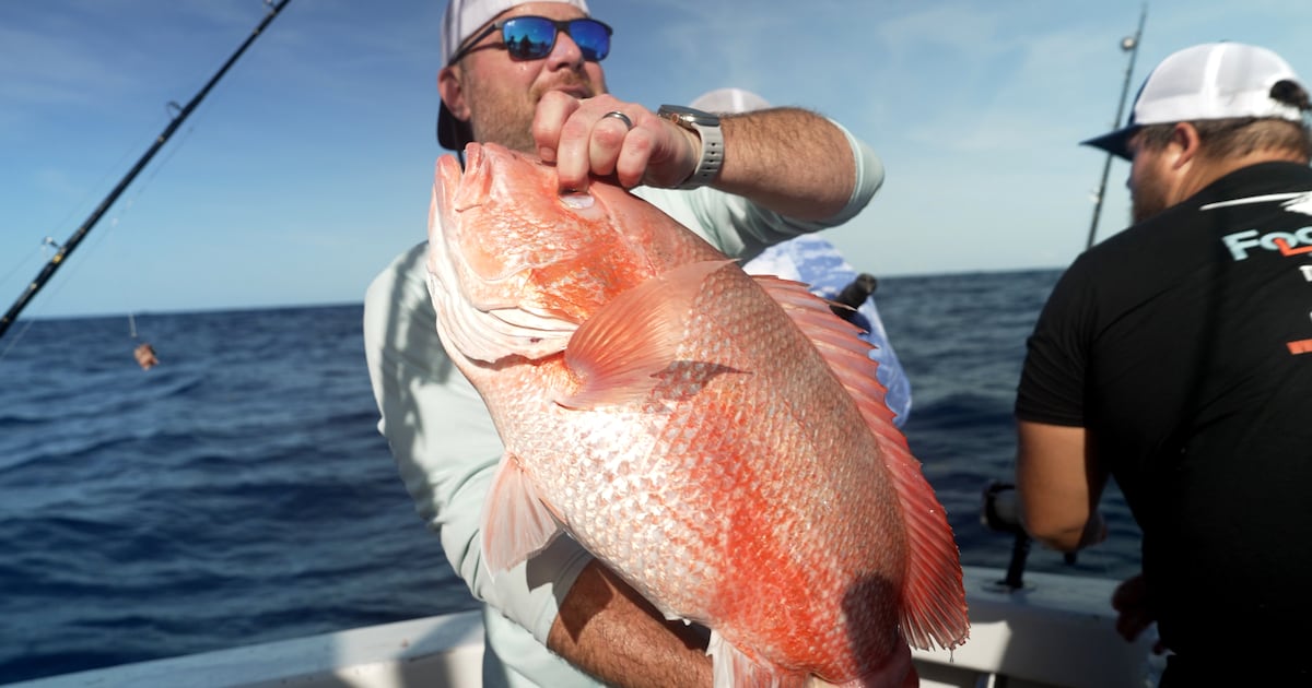 Judge blocks Trump-backed red snapper season