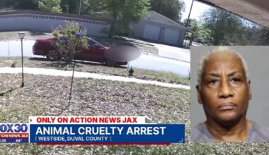 Jacksonville woman pleads not guilty to intentionally running over family of ducks – Action News Jax
