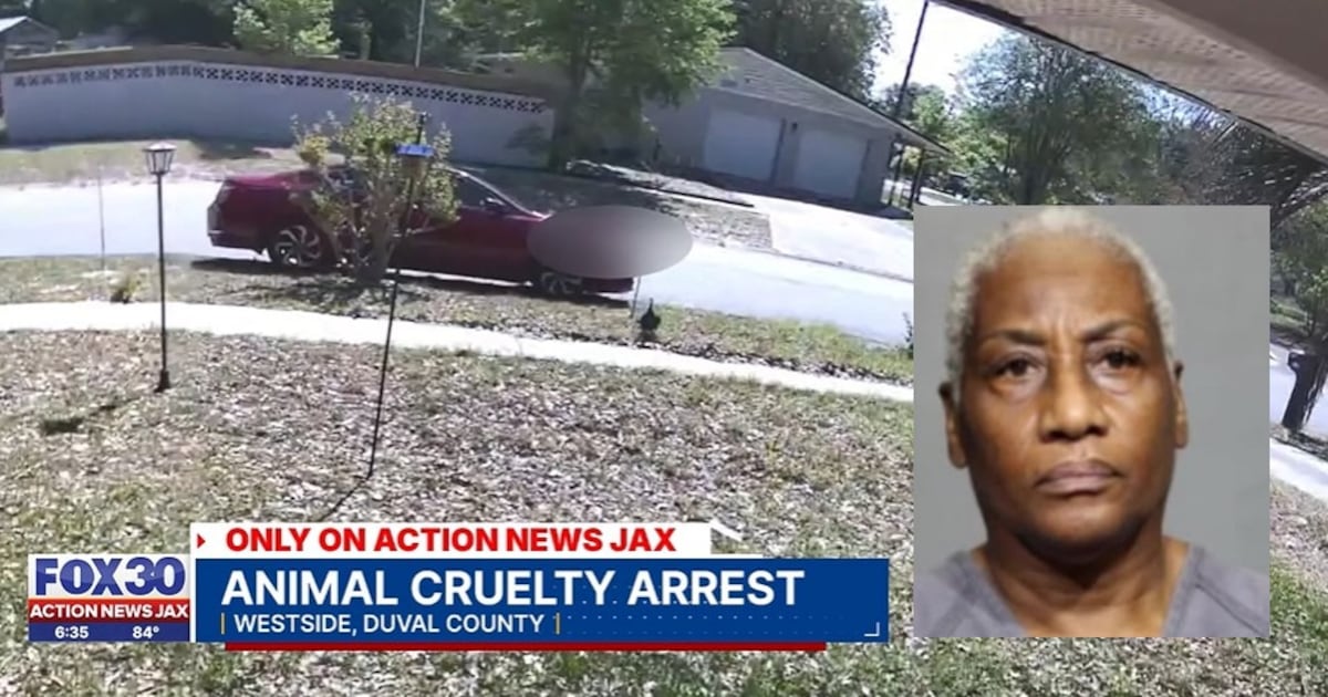 Jacksonville woman pleads not guilty to intentionally running over family of ducks – Action News Jax