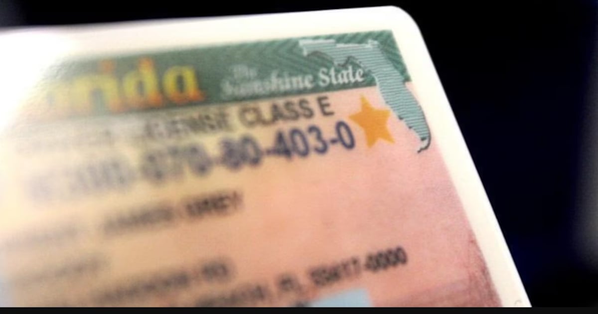 New Florida law requires driver’s licenses to display citizenship status – Action News Jax