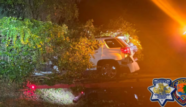 Teen driver arrested on DUI charges after crash injures victims in Neptune Beach
