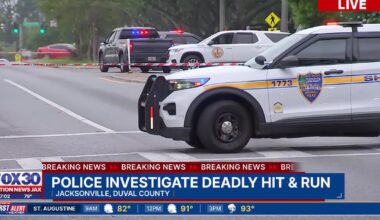 Woman killed in hit-and-run in Jacksonville’s Hogan’s Creek area – Action News Jax