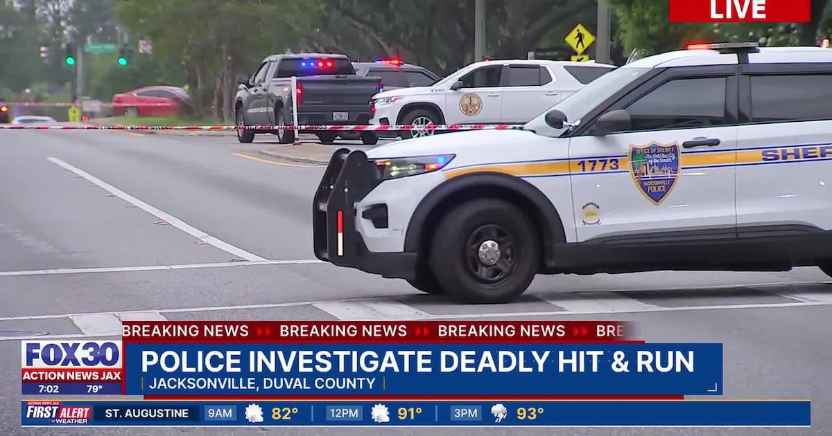 Woman killed in hit-and-run in Jacksonville’s Hogan’s Creek area – Action News Jax