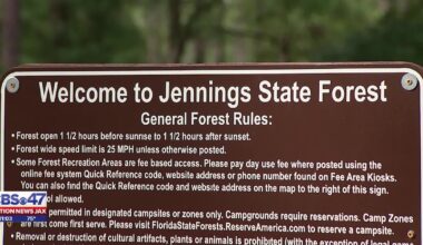 Neighbor reacts after woman was grabbed by man in Jennings State Forest – Action News Jax