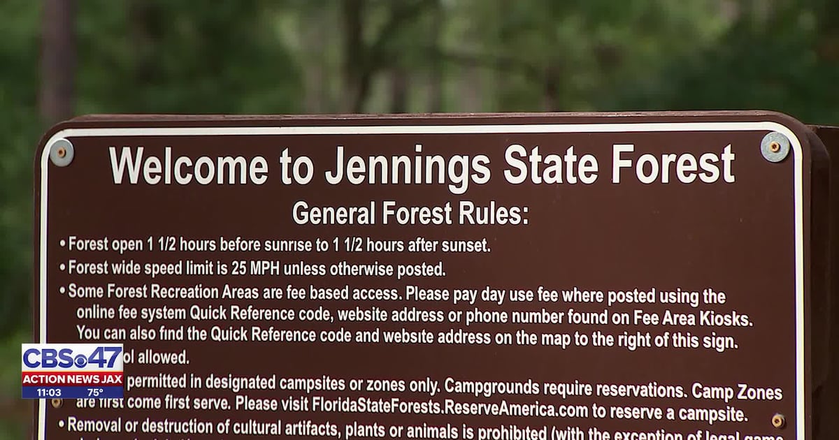 Neighbor reacts after woman was grabbed by man in Jennings State Forest – Action News Jax