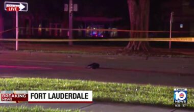 Woman fatally struck by car in Fort Lauderdale