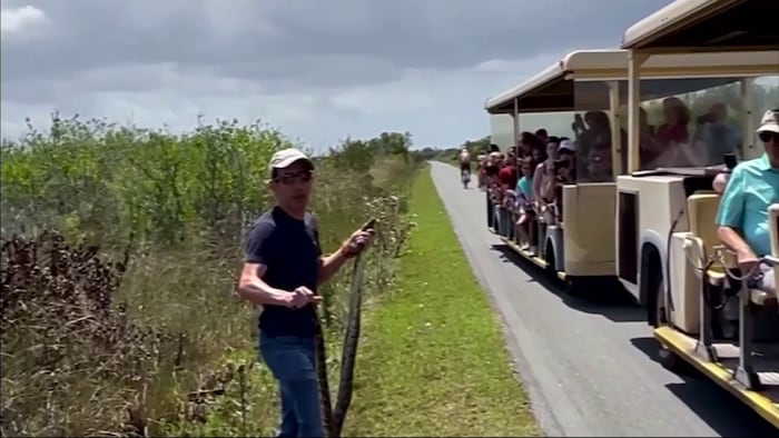 Wild Florida: Ron Magill helps man cited for capturing python at Everglades park