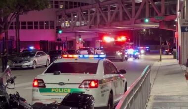 Miami Beach police officer critically injured in crash, officials say