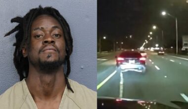 ‘Grappler’ technique helps Hollywood police nab alleged car thief wanted on multiple warrants