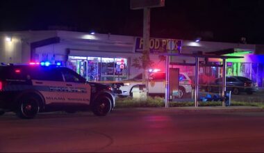 Woman shot in leg while sitting in car in northeast Miami-Dade, deputies say